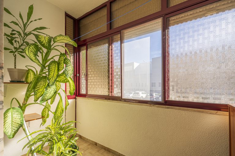 Hugo Alves © all rights reserved